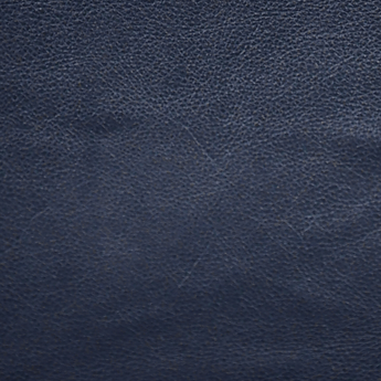 Steerhide Leather Swatches